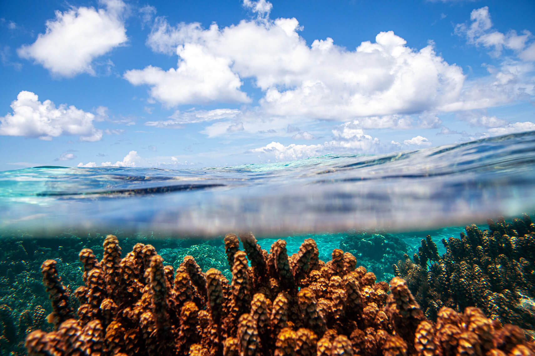 bora bora kreuzfahrt 