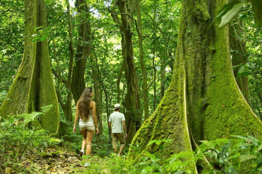 moorea besuchen